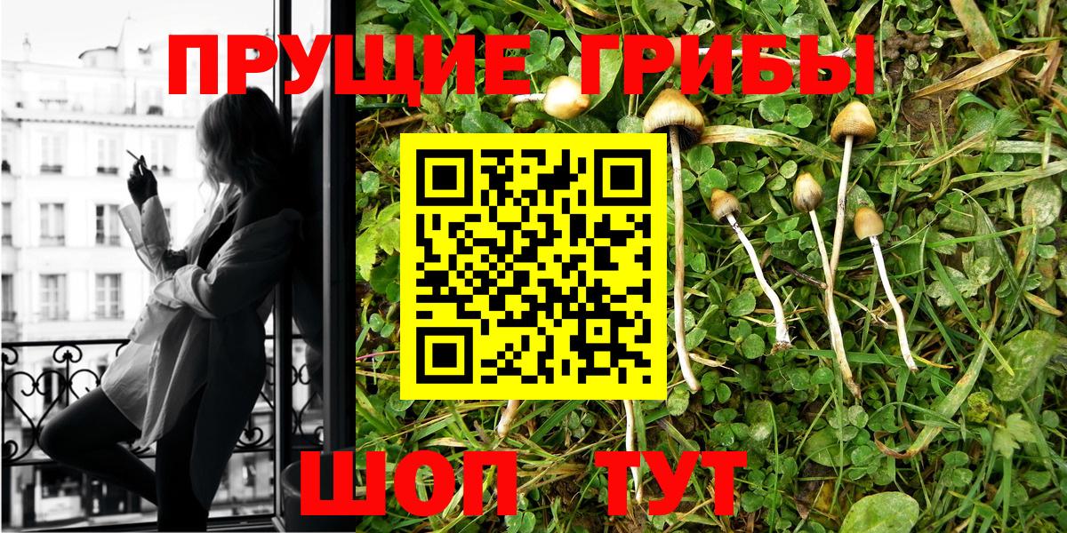 Псилоцибиновые грибы Cubensis  Вход с VPN  Комсомольск-на-Амуре  Галлюциногенные грибы MAGIC MUSHROOMS 
