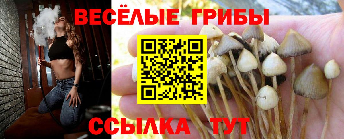 Галлюциногенные грибы мицелий Комсомольск-на-Амуре